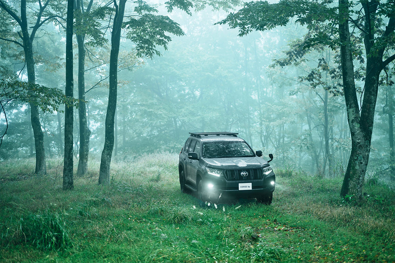 TNE NORTH FACE」のロゴを探せ！ ボディカラーもインスパイア