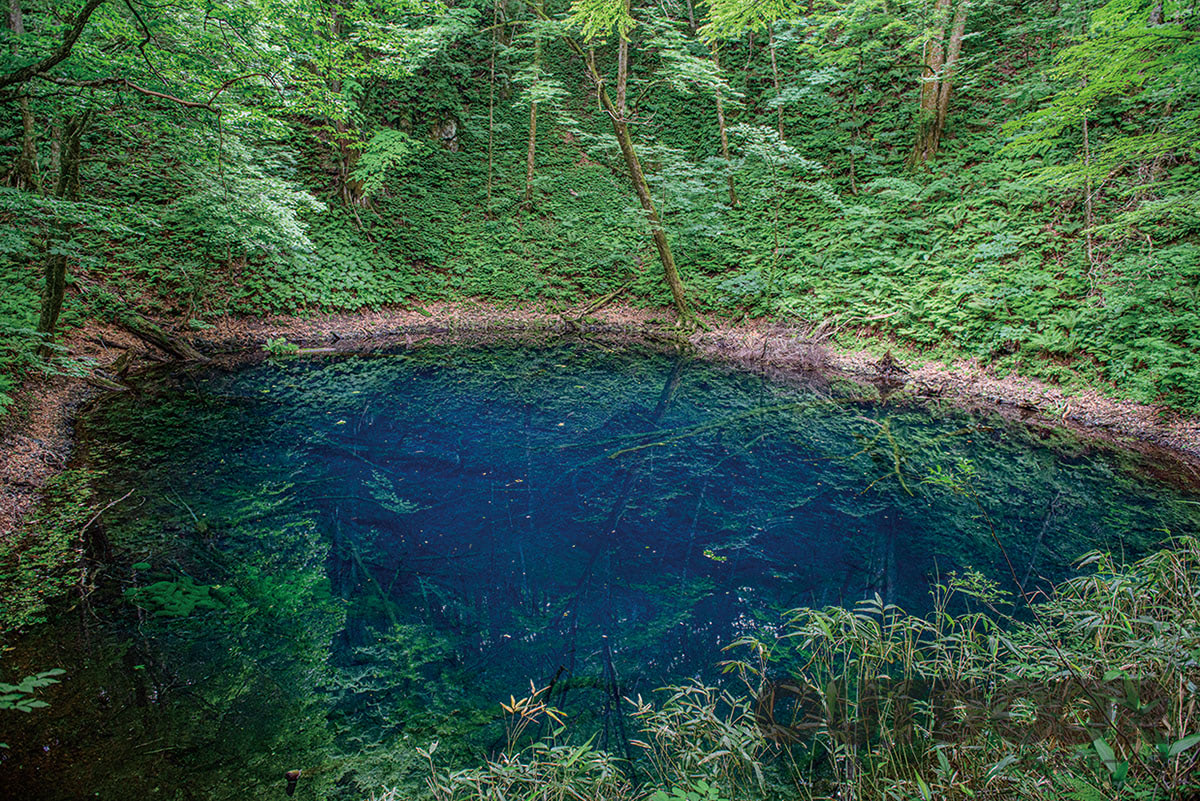 世界遺産・白神山地で、1956年に考案されたブナコの独自製法を知る 