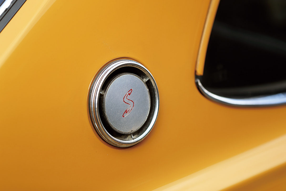 カーペンター GT-r 220 ガンマ グルクンカラー