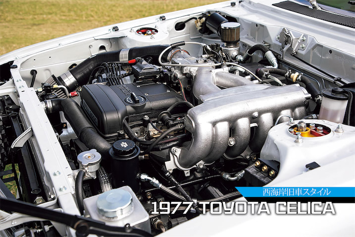 f1969b699929e093c4d7ed71665168