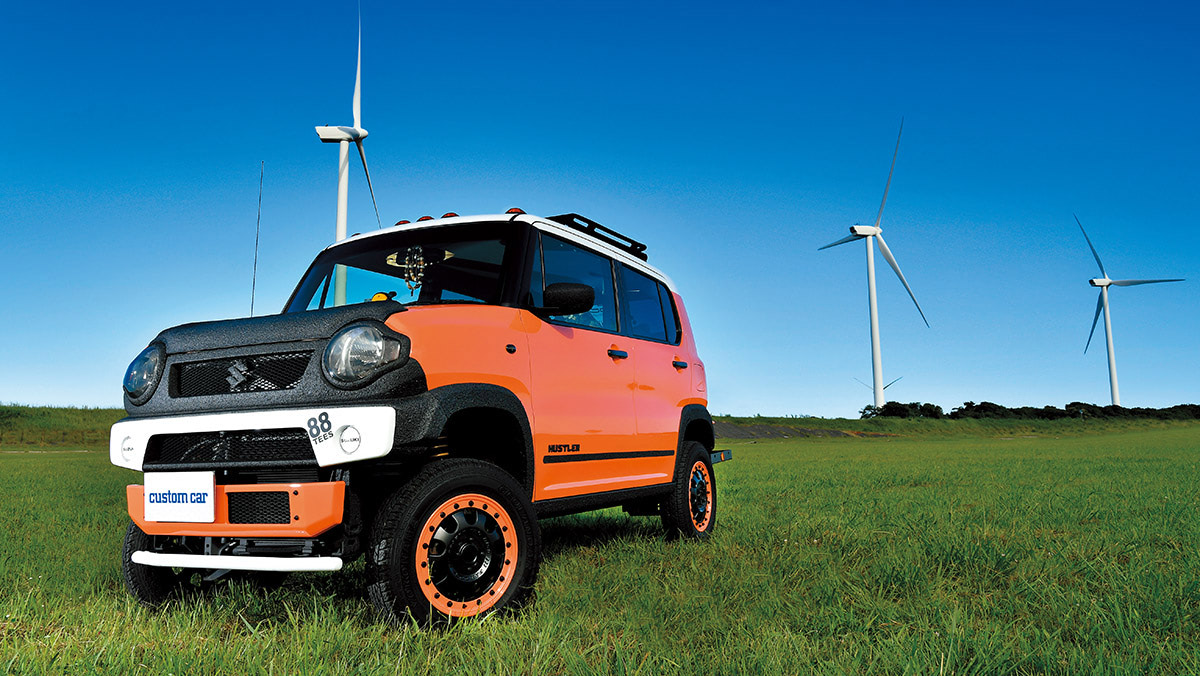 USテイストのアゲハスラー!!】ビビッドな純正カラー生かし！ トータル6